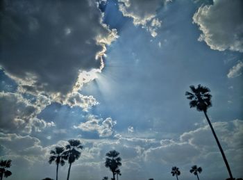 Low angle view of silhouette palm trees against sky