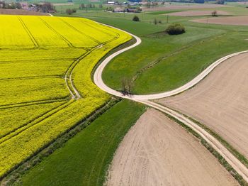 High angle view of agricultural field with rapeseed plants