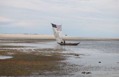 shore