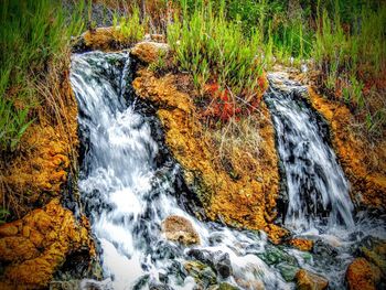 Stream flowing through rocks in forest