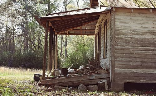 Abandoned log in forest