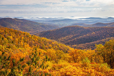 Scenic view of landscape against sky during autumn