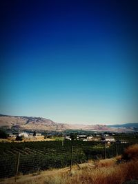 Scenic view of landscape against clear blue sky