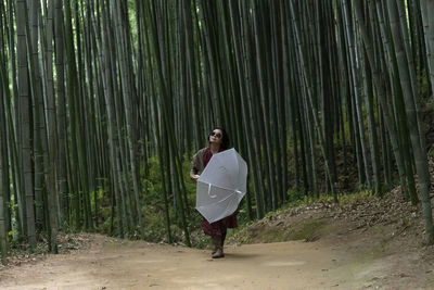 View of a woman holding a white umbrella in the bamboo forest