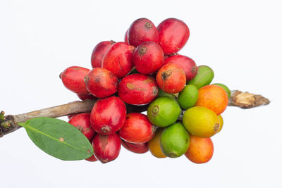 Close-up of apples against white background