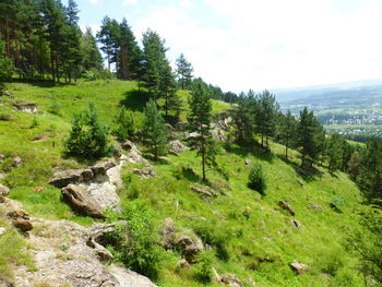 Scenic view of landscape against sky