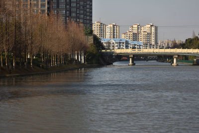 Bridge over river amidst buildings in city