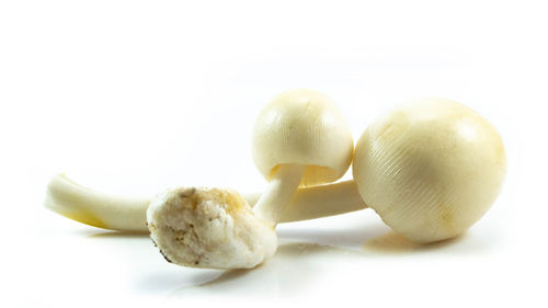 Close-up of fruits against white background