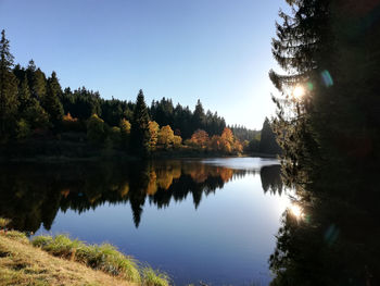 Scenic view of lake in forest against clear sky