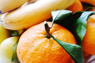 Close-up of orange fruit