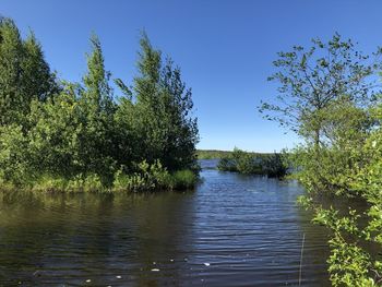 Scenic view of river against clear blue sky