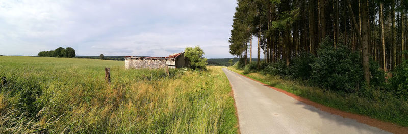 Road amidst trees on field against sky