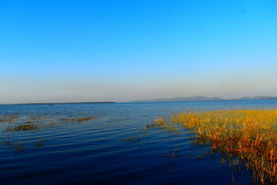 Scenic view of lake against clear blue sky