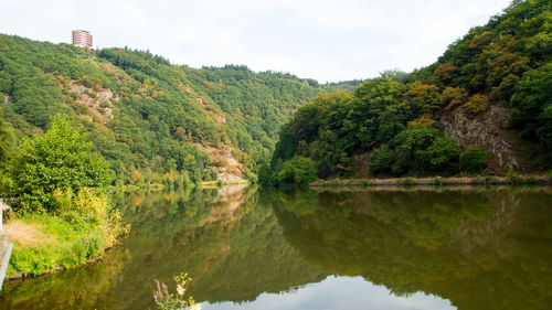 Scenic view of lake by trees in forest against sky