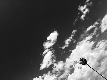 Low angle view of silhouette tree against sky