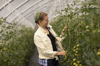 Young woman working as vegetable grower or farmer in a greenhouse