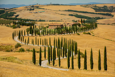 People walking on field