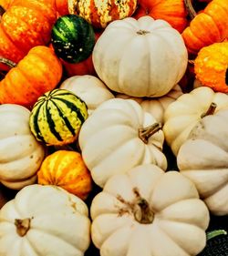 Full frame shot of pumpkins at market