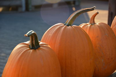 Close-up of pumpkins