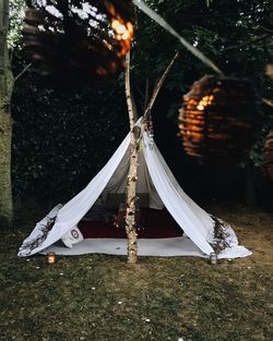 Rope hanging on tree trunk in field