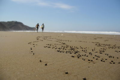 Small stones on sandy beach against sky