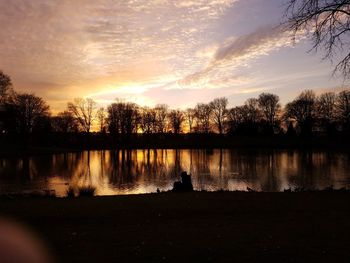 Silhouette of trees in lake during sunset