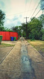 Surface level of road along trees