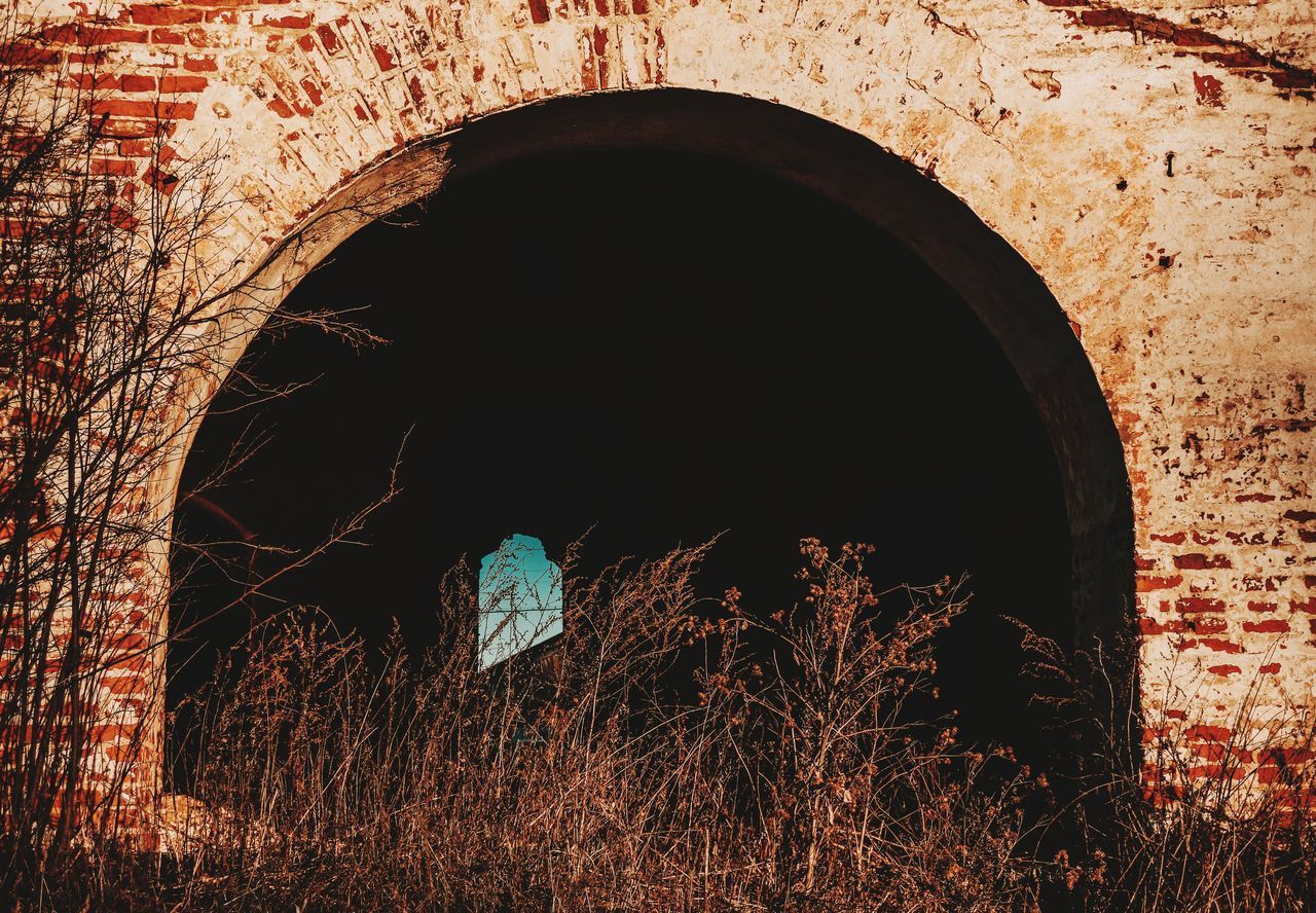 VIEW OF AN ABANDONED BUILT STRUCTURE WITH PLANTS