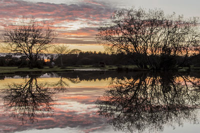 Reflection of bare trees in lake during sunset