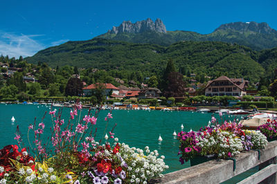 Pier with flowers on the annecy lake at the village of talloires, france.