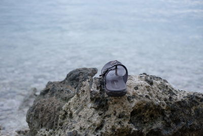 Close-up of rock on beach