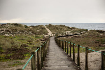 A wild path that leads us to the ocean.