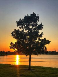 Silhouette tree by lake against sky during sunset
