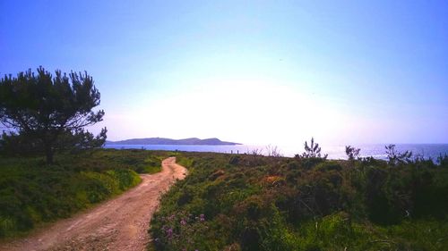 Scenic view of agricultural field against clear sky