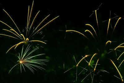 Close-up of firework display against sky at night