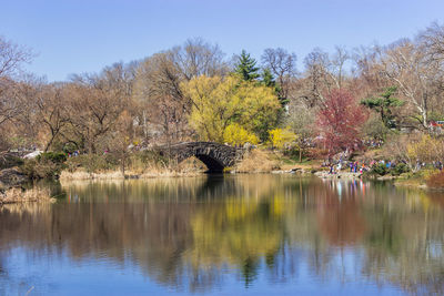 Scenic view of river by trees against sky