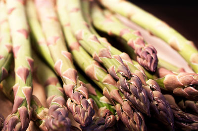 Many asparagus on a wooden base and on a black background. healthy vegetable food. studio shoot