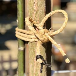 Close-up of rope tied on wooden post