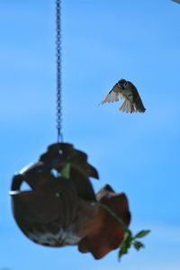 flying