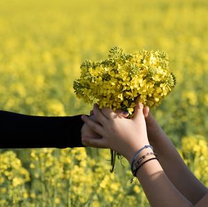 Low angle view of person hand holding yellow flower on field