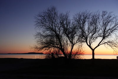 Silhouette bare tree by sea against sky during sunset