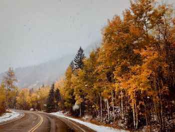 Road amidst trees during autumn against sky