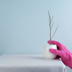 Close-up of hand holding vase against white wall at home