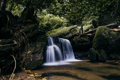 Scenic view of waterfall in forest