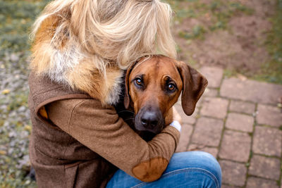 Close-up of dog