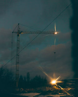 Crane standing in the forest