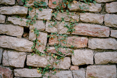 Full frame shot of brick wall