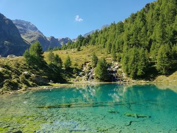 Scenic view of forest by mountains against sky
