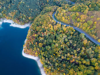 Idyllic road by the lake in autumn