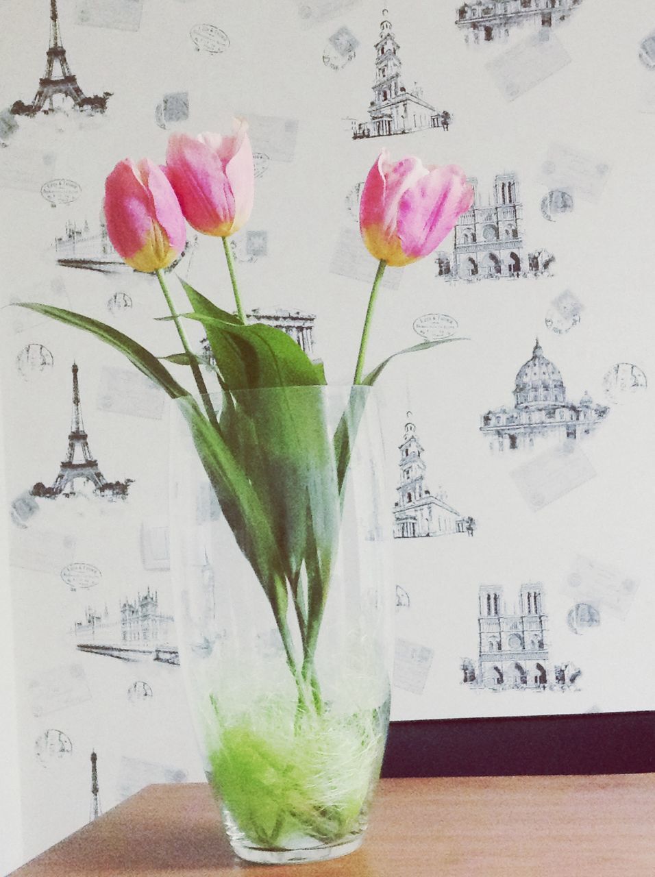 flower, vase, indoors, freshness, fragility, petal, table, flower arrangement, wall - building feature, stem, decoration, still life, close-up, flower head, glass - material, pink color, wall, leaf, tulip, nature